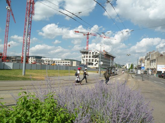  vue générale du chantier, Coeur Ste-Catherine